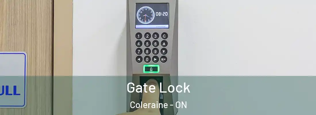  Gate Lock Coleraine - ON