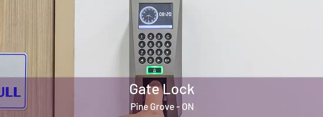  Gate Lock Pine Grove - ON