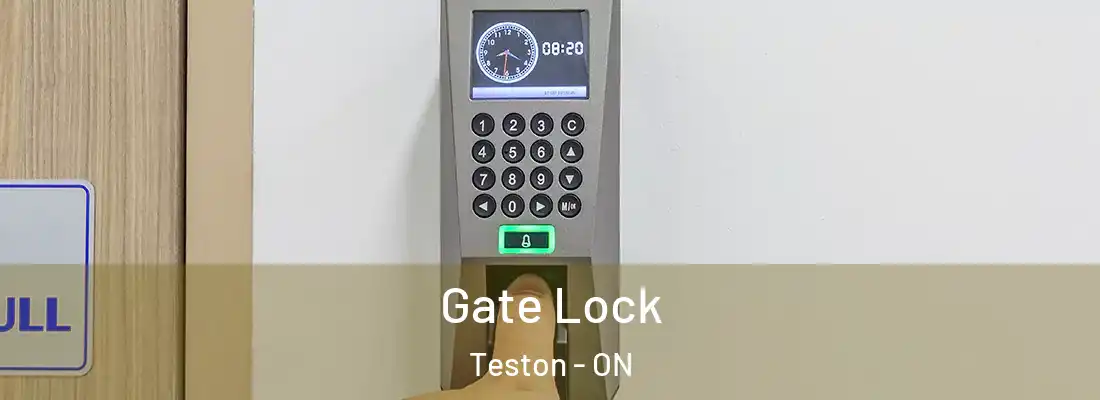  Gate Lock Teston - ON