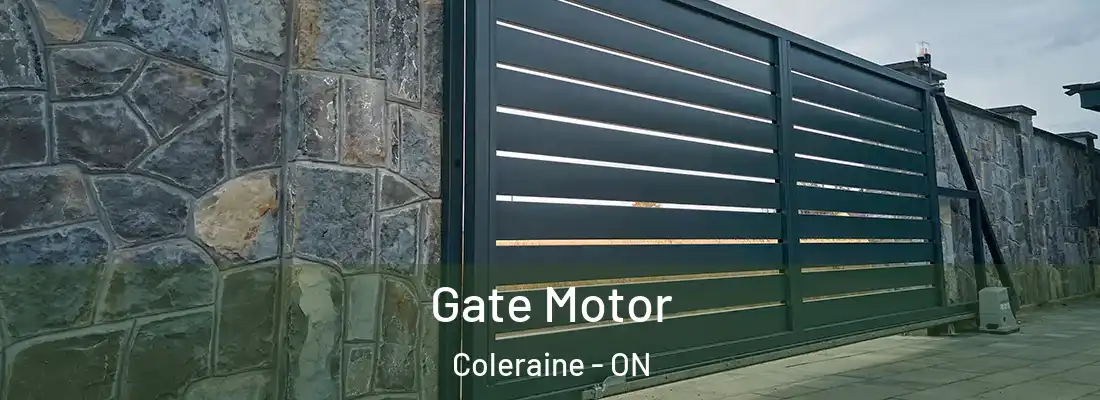  Gate Motor Coleraine - ON