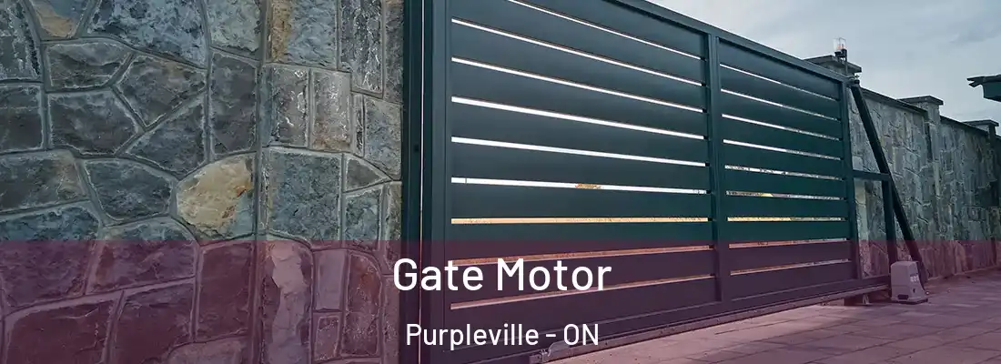  Gate Motor Purpleville - ON