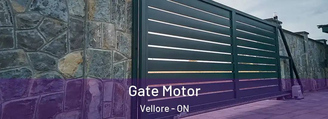 Gate Motor Vellore - ON