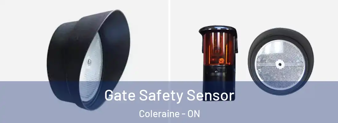 Gate Safety Sensor Coleraine - ON
