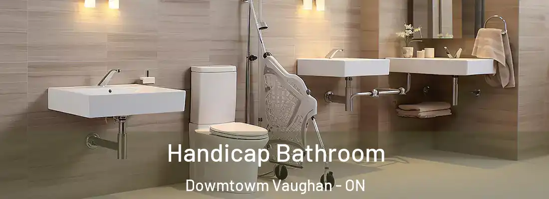  Handicap Bathroom Dowmtowm Vaughan - ON