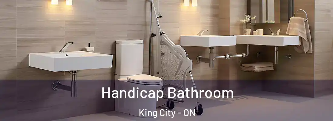  Handicap Bathroom King City - ON
