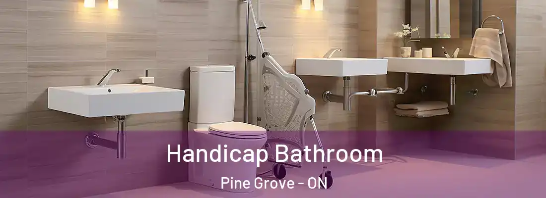  Handicap Bathroom Pine Grove - ON