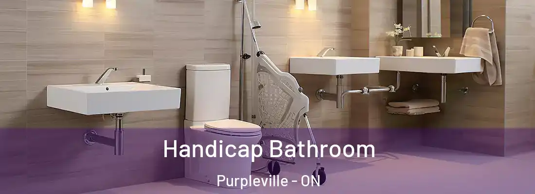  Handicap Bathroom Purpleville - ON