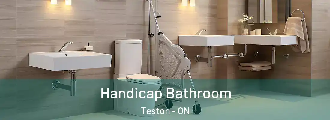  Handicap Bathroom Teston - ON