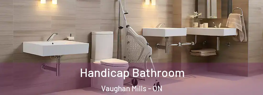  Handicap Bathroom Vaughan Mills - ON