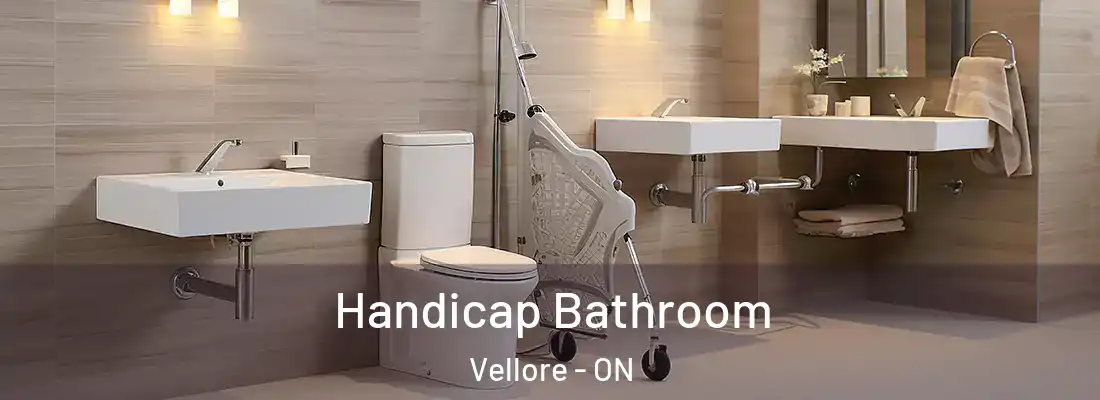  Handicap Bathroom Vellore - ON
