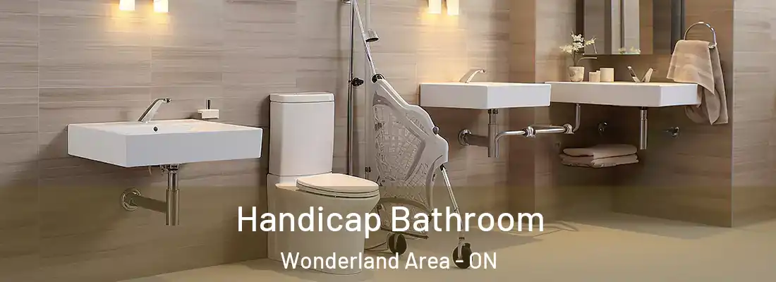  Handicap Bathroom Wonderland Area - ON