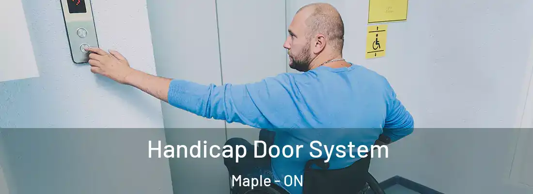  Handicap Door System Maple - ON