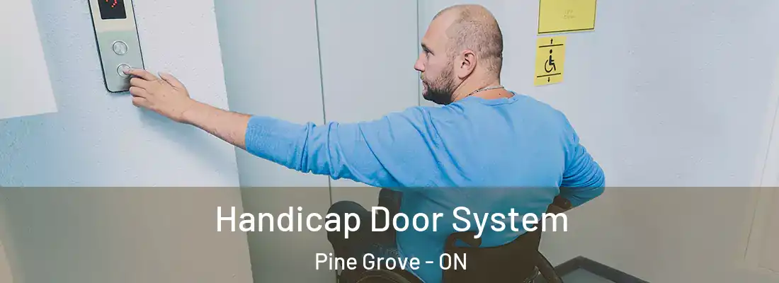  Handicap Door System Pine Grove - ON