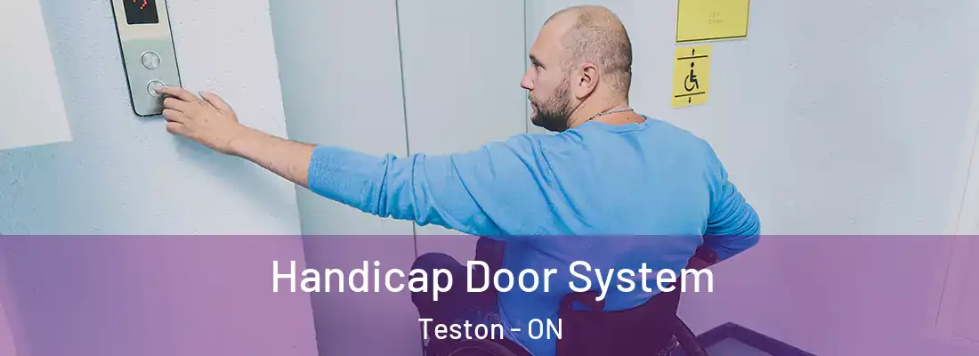  Handicap Door System Teston - ON