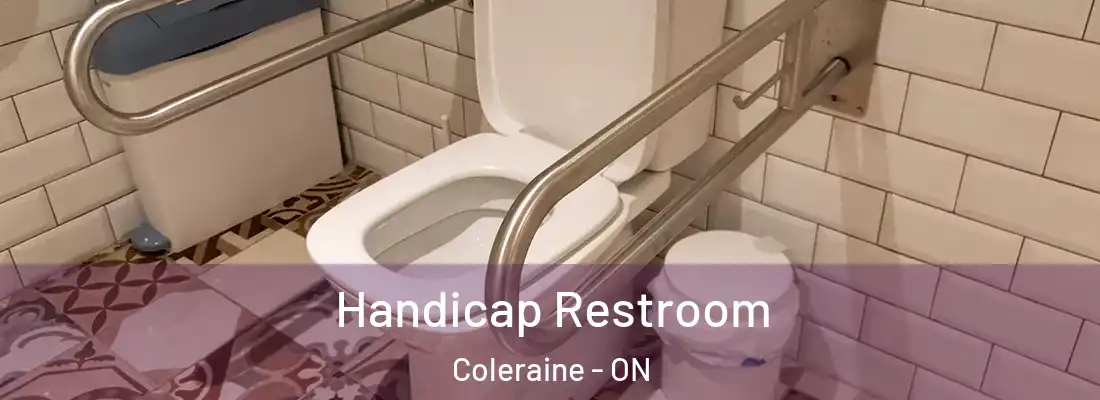  Handicap Restroom Coleraine - ON