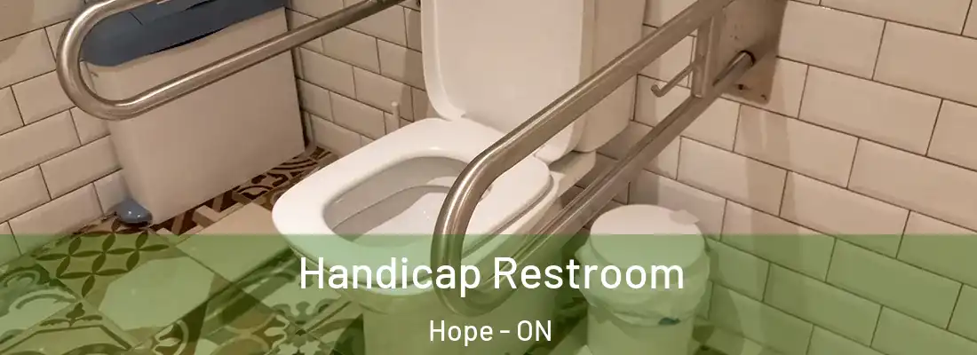  Handicap Restroom Hope - ON