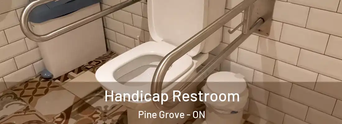  Handicap Restroom Pine Grove - ON