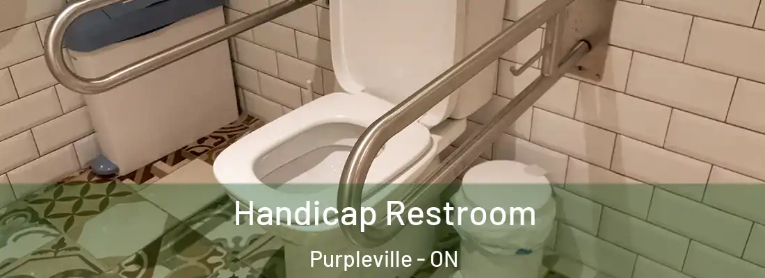  Handicap Restroom Purpleville - ON