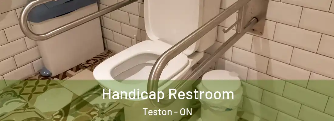  Handicap Restroom Teston - ON
