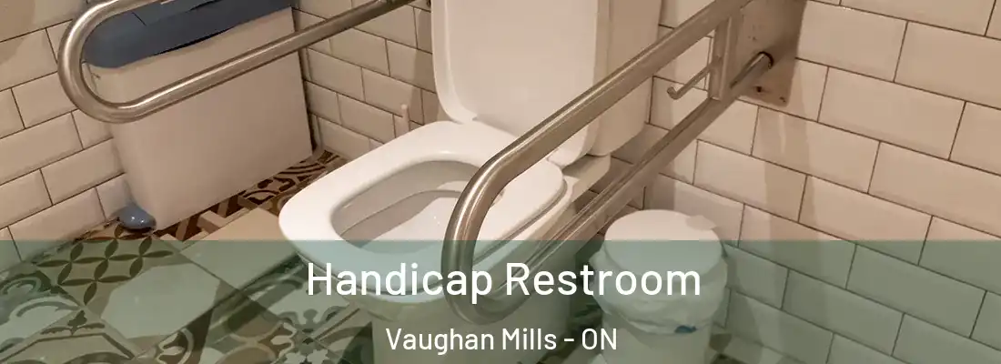  Handicap Restroom Vaughan Mills - ON