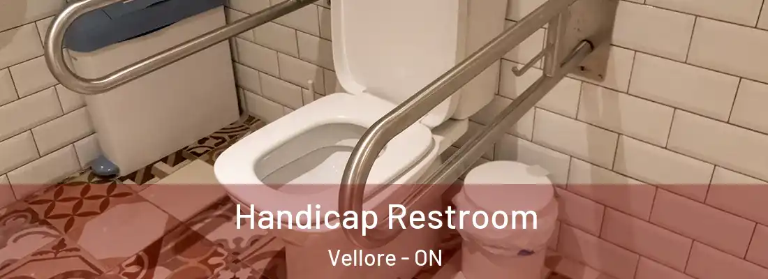  Handicap Restroom Vellore - ON