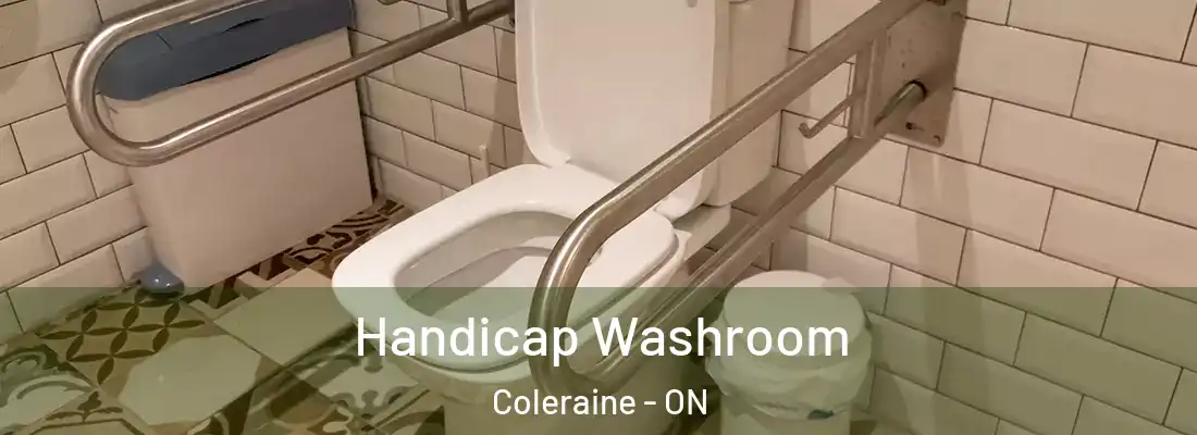  Handicap Washroom Coleraine - ON
