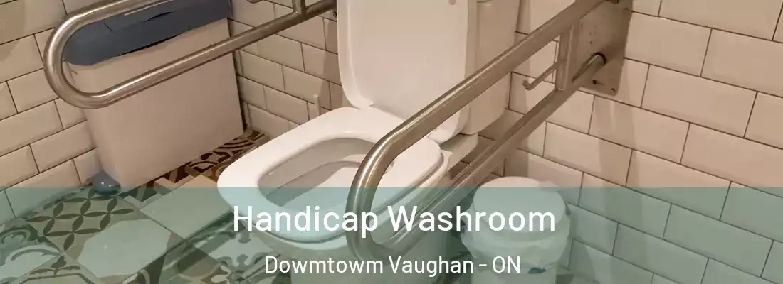  Handicap Washroom Dowmtowm Vaughan - ON