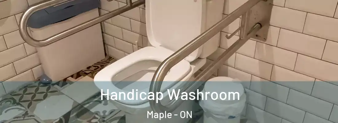  Handicap Washroom Maple - ON