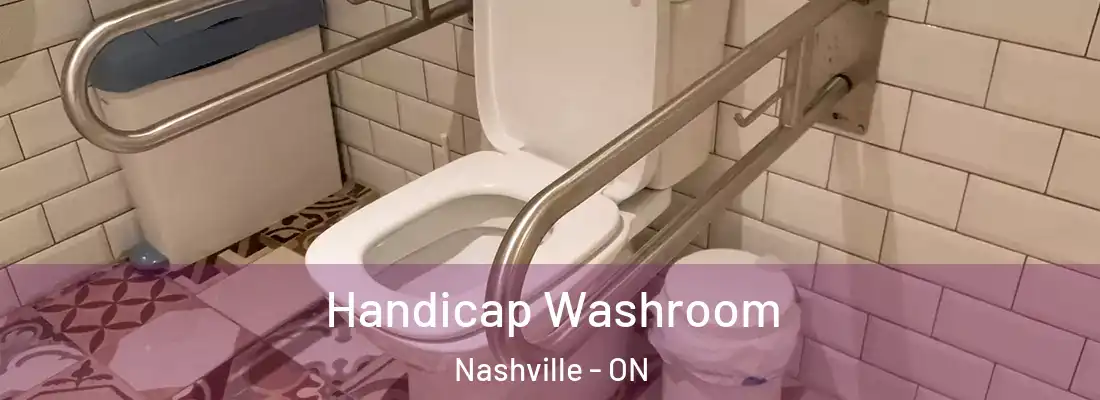  Handicap Washroom Nashville - ON