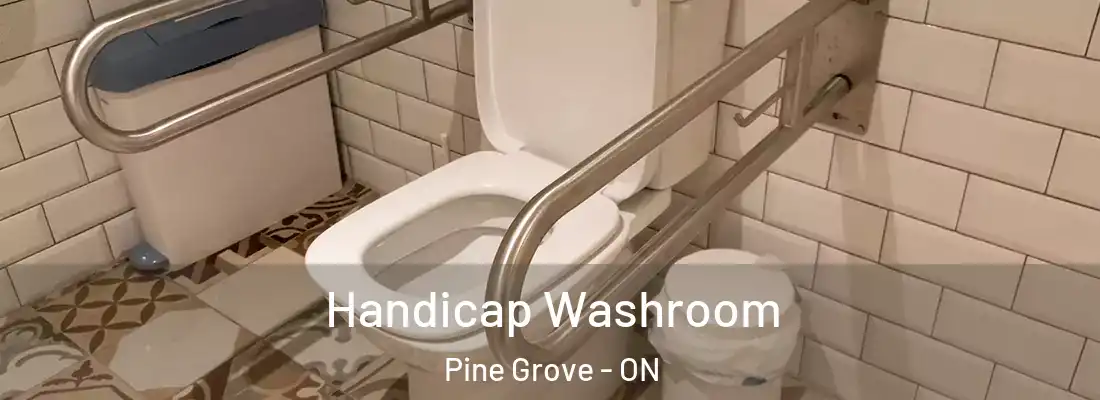  Handicap Washroom Pine Grove - ON