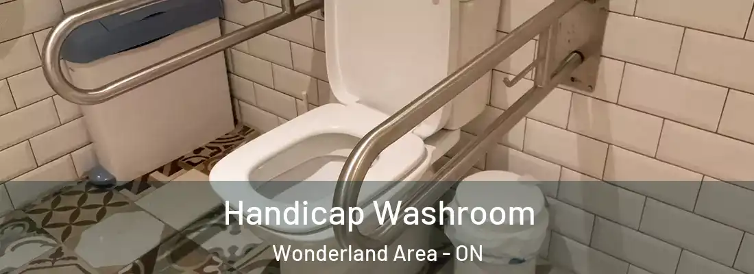  Handicap Washroom Wonderland Area - ON
