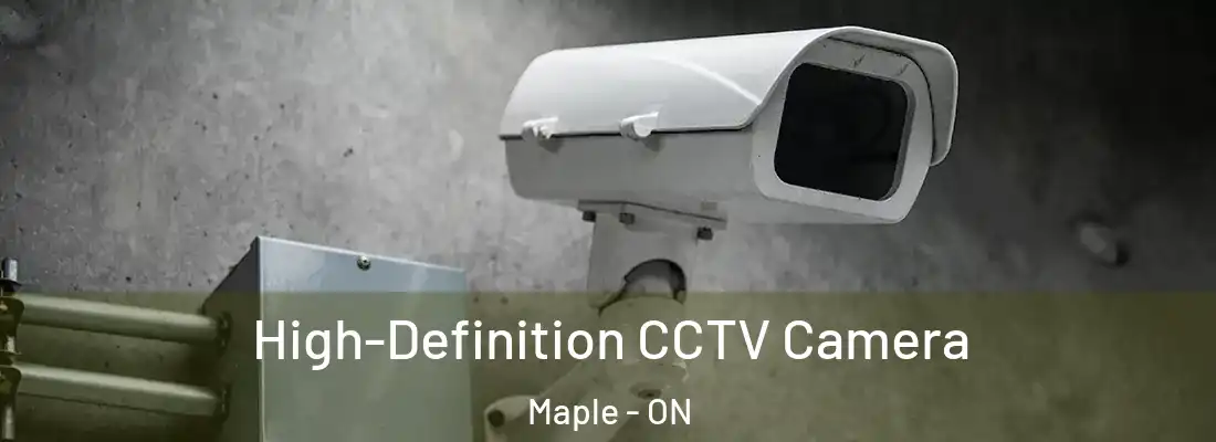  High-Definition CCTV Camera Maple - ON