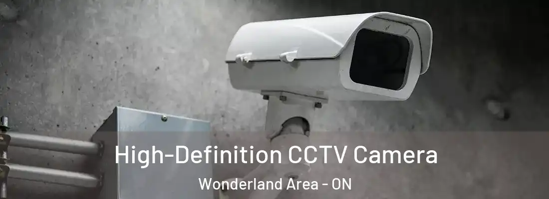  High-Definition CCTV Camera Wonderland Area - ON