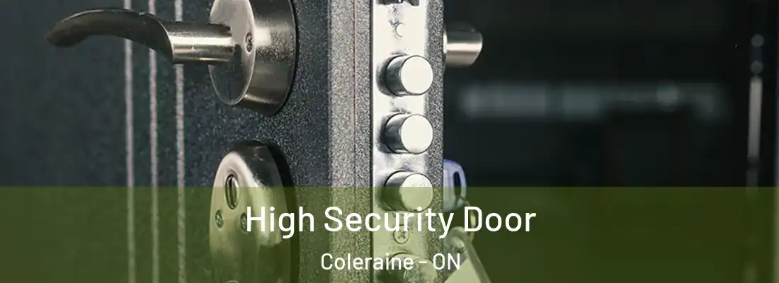  High Security Door Coleraine - ON