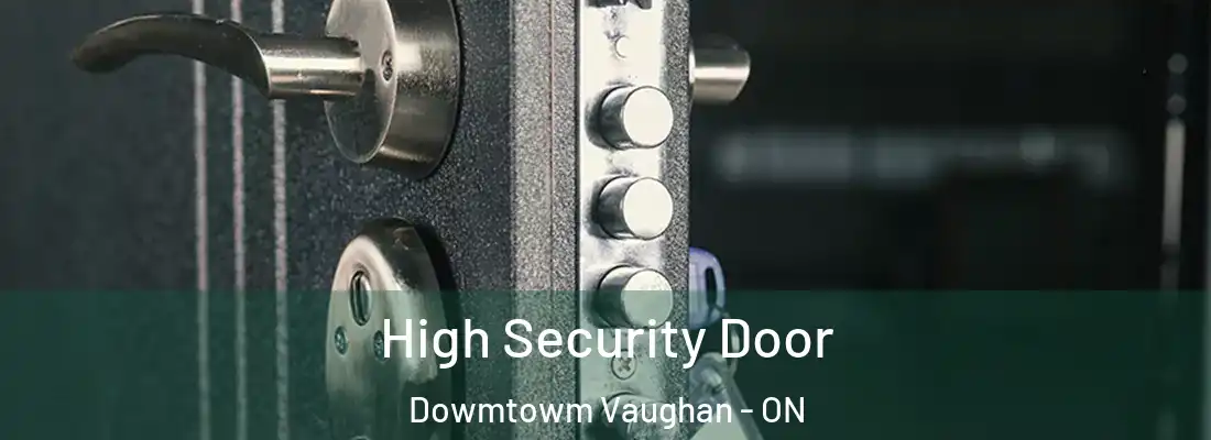  High Security Door Dowmtowm Vaughan - ON