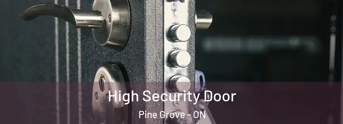 High Security Door Pine Grove - ON