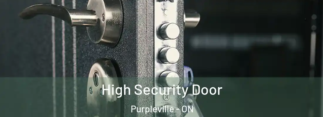  High Security Door Purpleville - ON