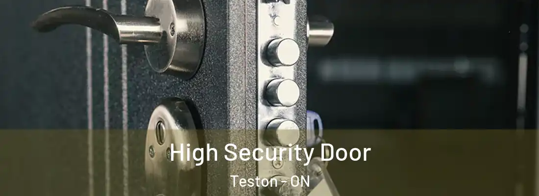  High Security Door Teston - ON