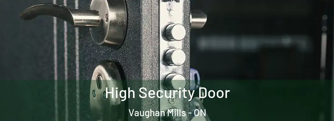  High Security Door Vaughan Mills - ON