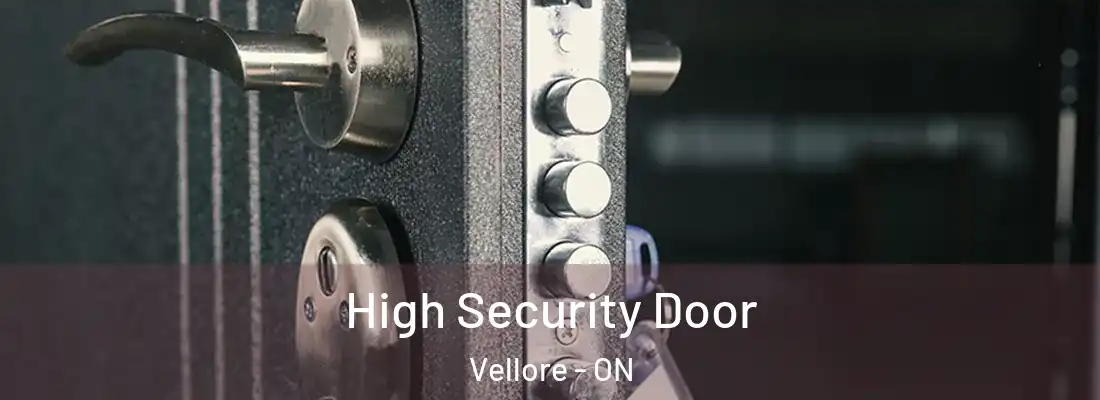  High Security Door Vellore - ON