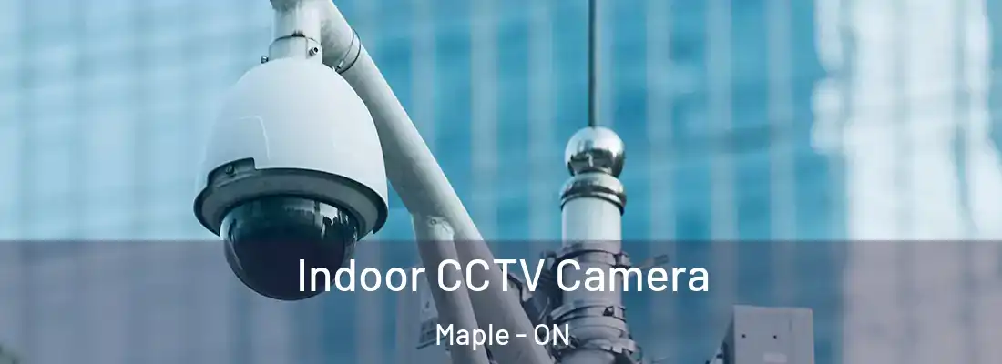  Indoor CCTV Camera Maple - ON