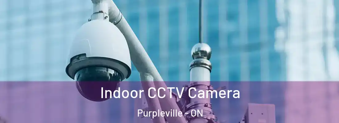  Indoor CCTV Camera Purpleville - ON