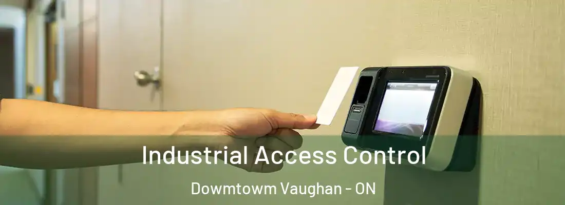  Industrial Access Control Dowmtowm Vaughan - ON