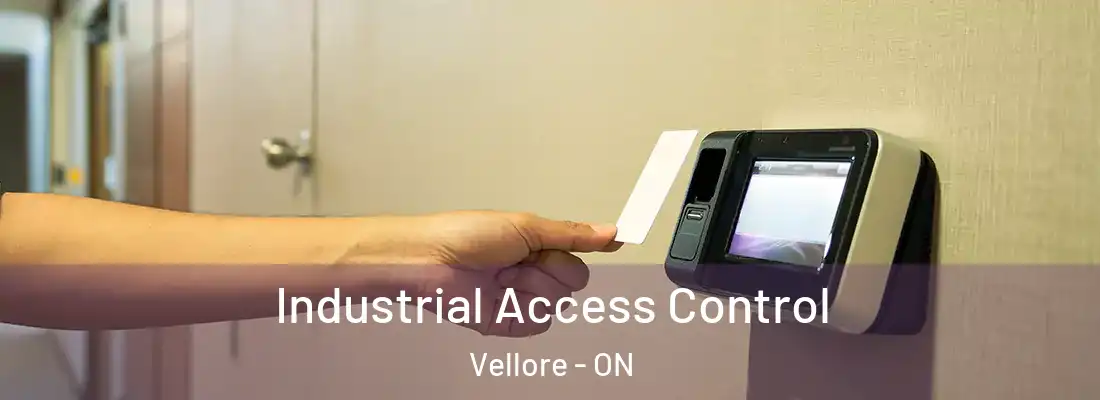  Industrial Access Control Vellore - ON