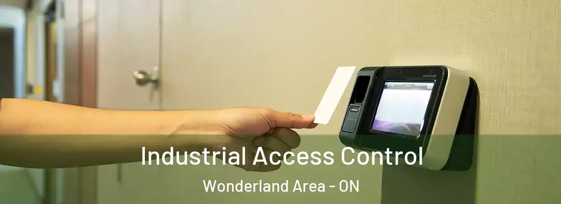  Industrial Access Control Wonderland Area - ON