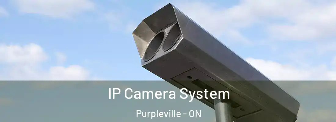  IP Camera System Purpleville - ON