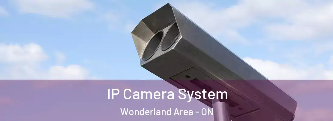  IP Camera System Wonderland Area - ON
