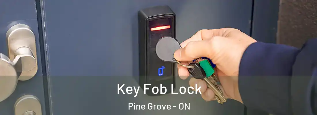  Key Fob Lock Pine Grove - ON
