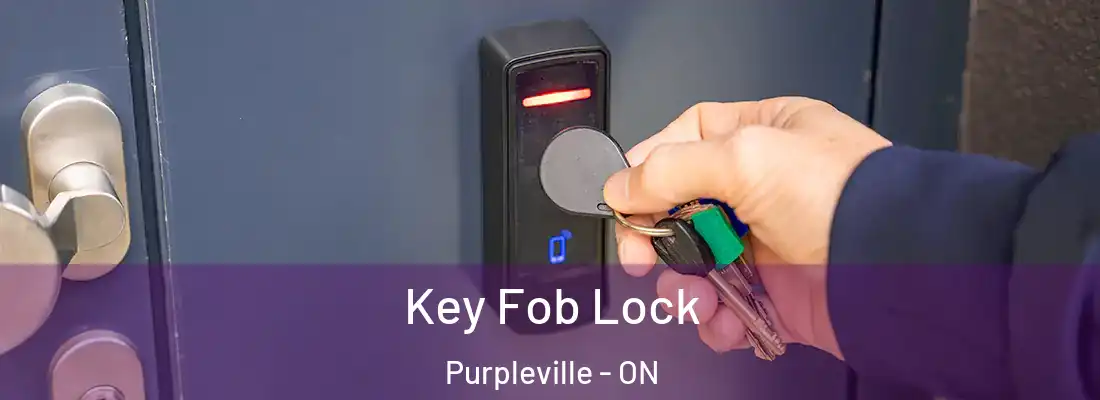  Key Fob Lock Purpleville - ON