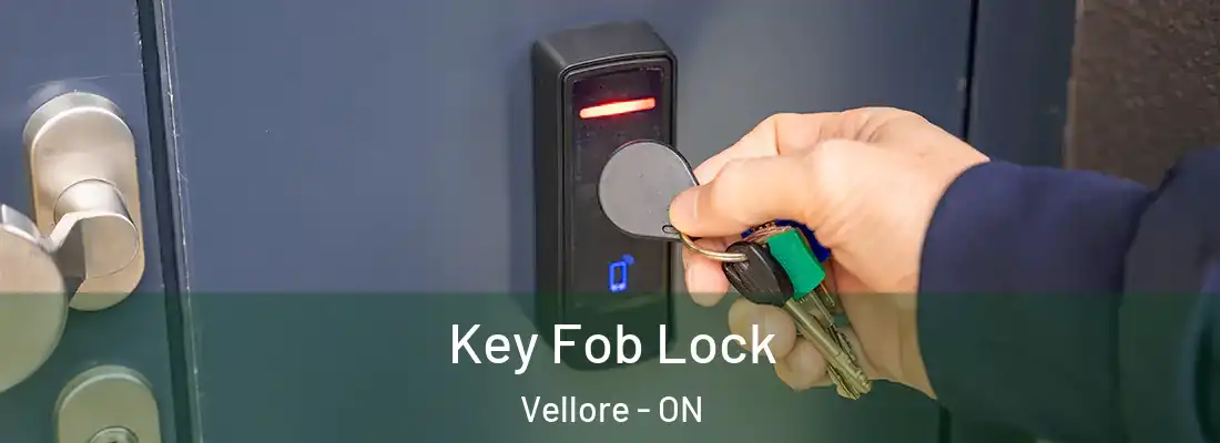  Key Fob Lock Vellore - ON